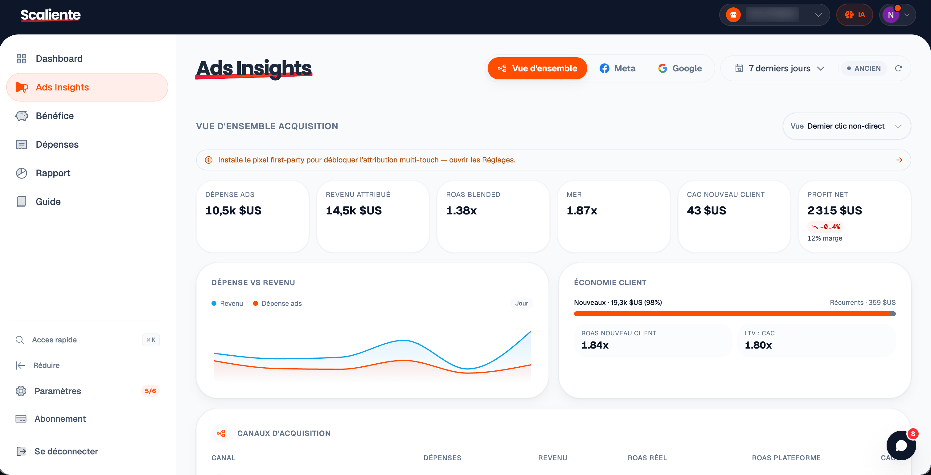 Anonymized Scaliente Ads Insights view